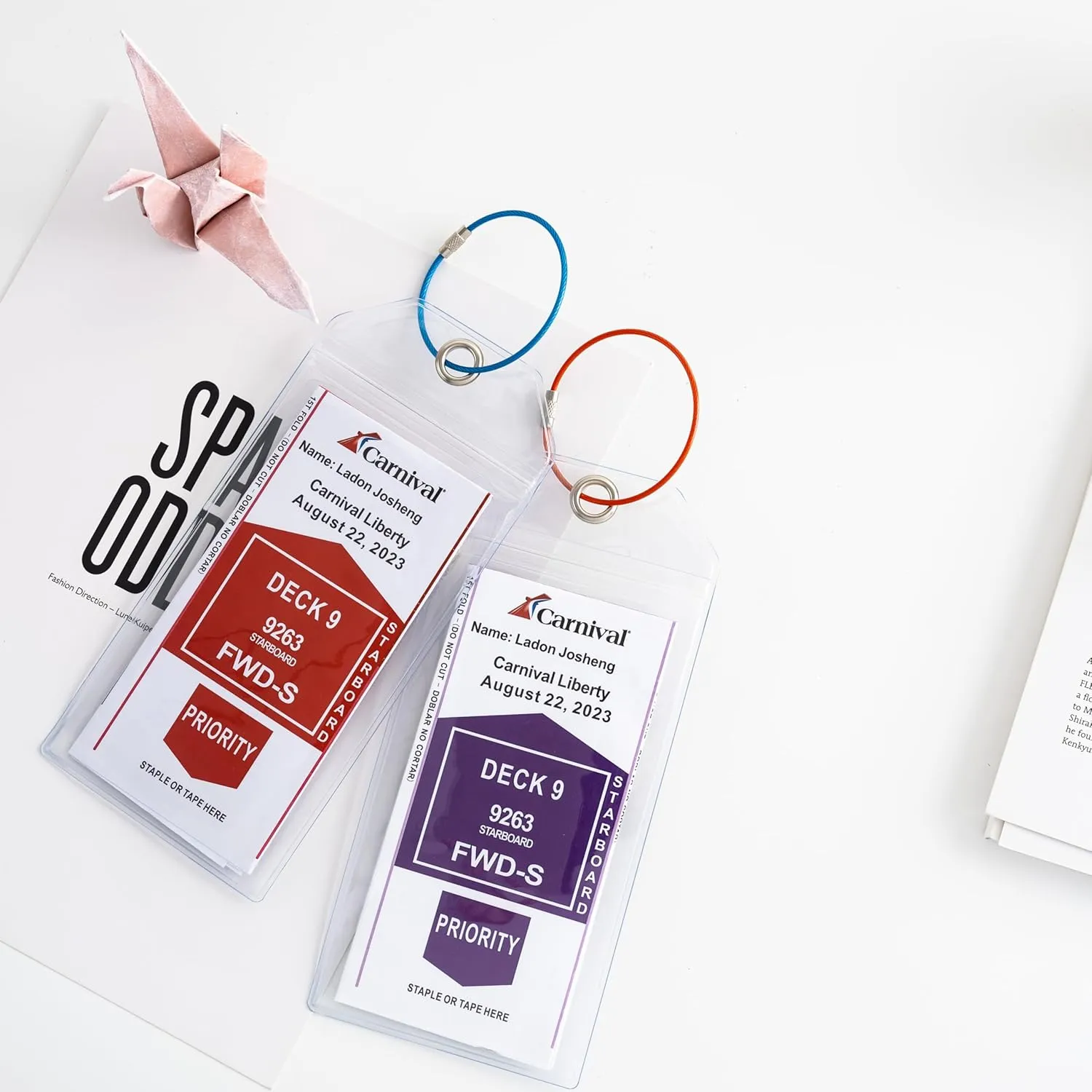 Carnival, Princess, NCL & MSC Cruise Ship Essentials - Clear Luggage Tag Holders & Must Haves for Cruise Lovers, Waterproof & Reusable