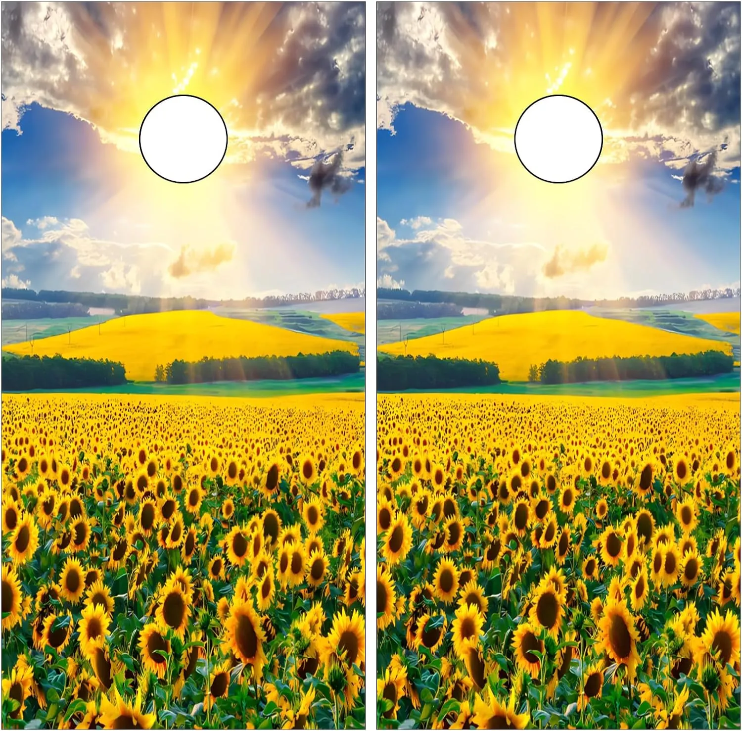 Corn Hole Decals Vinyl Wraps Weather Resistant Stickers for Party Decorative Games Stickers Dimensions: 24inx48in Set of 2 Easy Bubble-Free Application Waterproof Skull