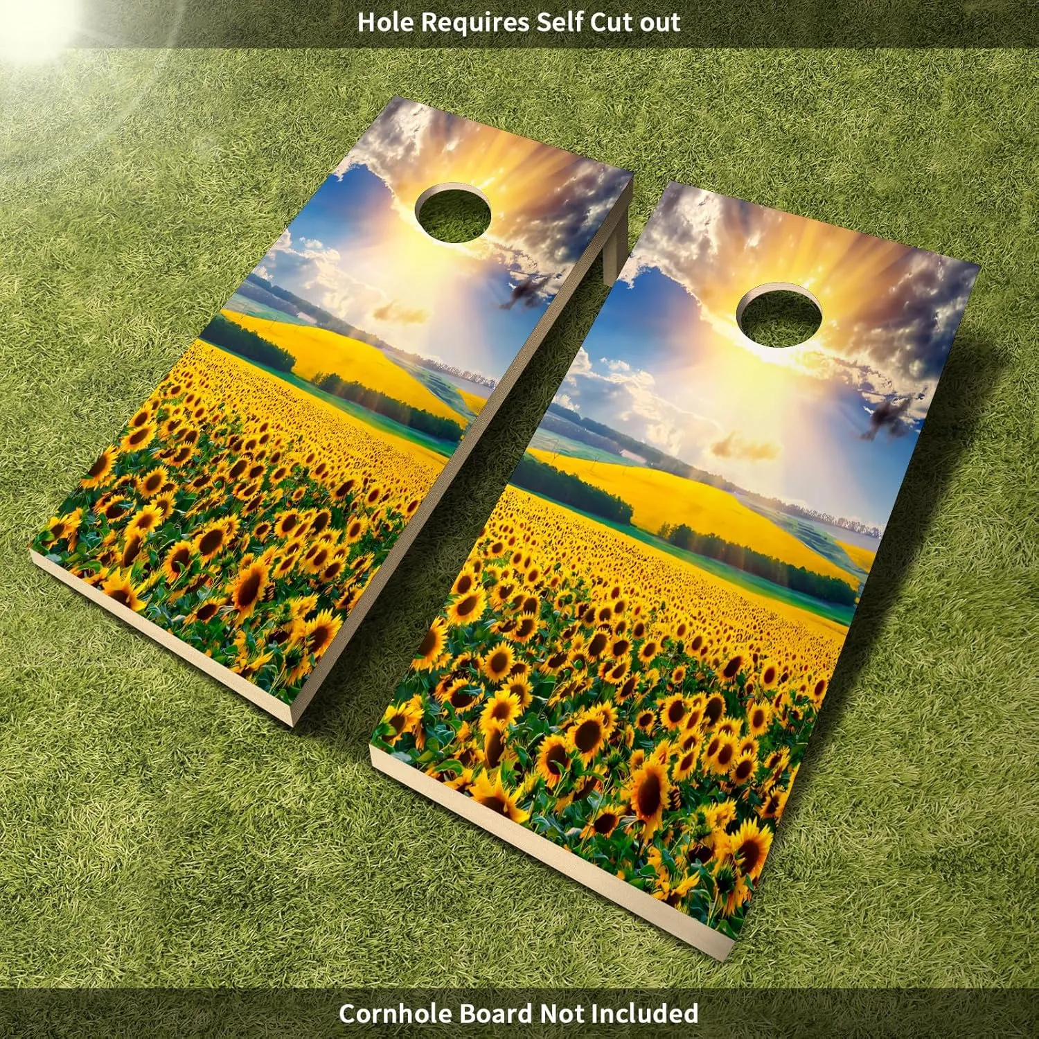 Corn Hole Decals Vinyl Wraps Weather Resistant Stickers for Party Decorative Games Stickers Dimensions: 24inx48in Set of 2 Easy Bubble-Free Application Waterproof Skull