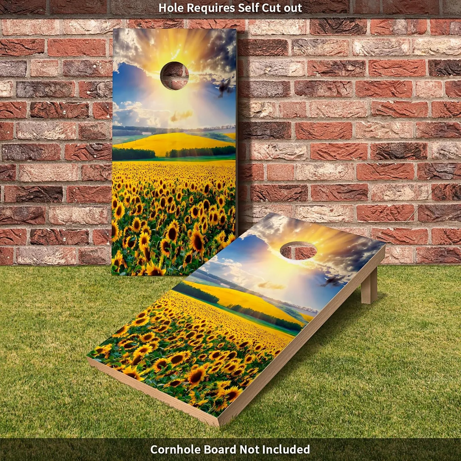Corn Hole Decals Vinyl Wraps Weather Resistant Stickers for Party Decorative Games Stickers Dimensions: 24inx48in Set of 2 Easy Bubble-Free Application Waterproof Skull