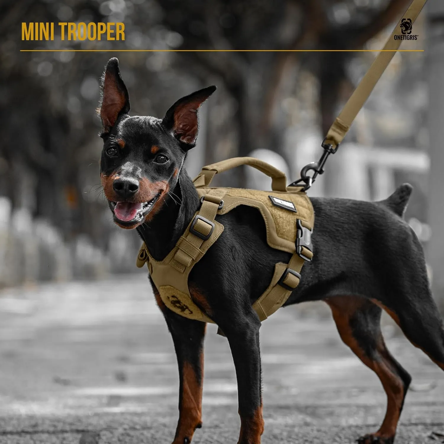 OneTigris XXS Dog Harness for 5-15lbs Puppies, Step-in No Pull Harness with Padded Vest for Extra-Small/Small/Medium Dogs and Cats (Brown, XXS)